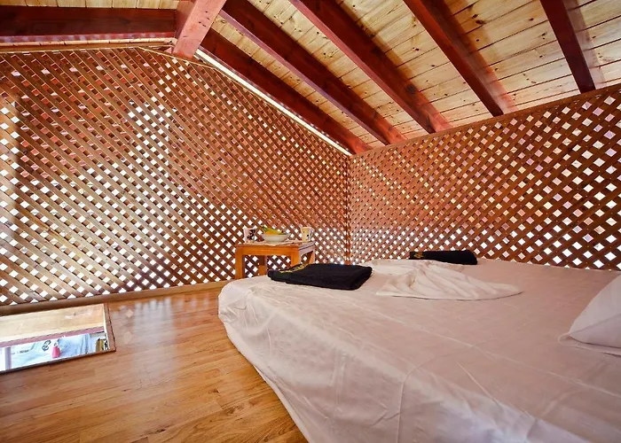 Golden Fox Villa